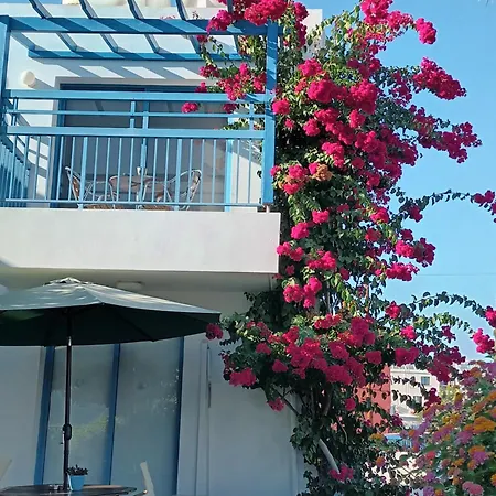 Ocean Blue Paphos